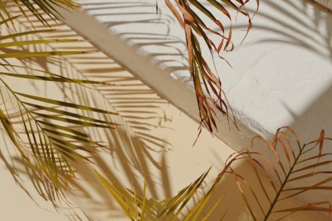 federica-giusti-uYl9tJsnBXk-unsplash