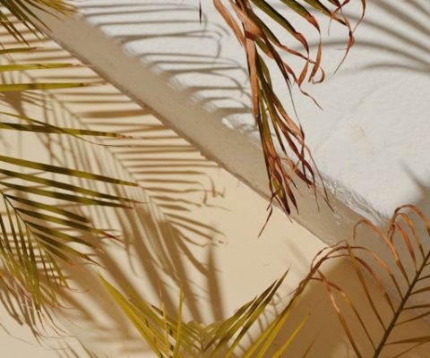 federica-giusti-uYl9tJsnBXk-unsplash